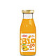 Pölz BIO to GO Mango 250 ml